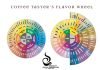 Đọc vị cafe qua “Coffee Taster’s Flavor Wheel”