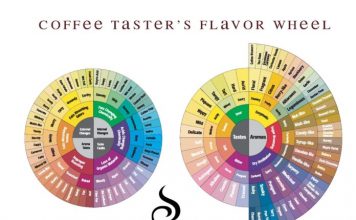 Đọc vị cafe qua “Coffee Taster’s Flavor Wheel”